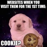 Cookie? | WEBSITES WHEN YOU VISIT THEM FOR THE 1ST TIME:; COOKIE? | image tagged in dog gives the dvd,memes,funny,cookie,websites,relatable memes | made w/ Imgflip meme maker