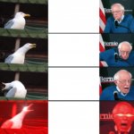 Bernie and bird