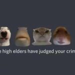 The High Elders Have Judged Your Crimes