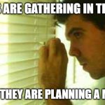 Paranoid guy  | CROWS ARE GATHERING IN THE YARD; I THINK THEY ARE PLANNING A MURDER | image tagged in paranoid guy | made w/ Imgflip meme maker