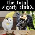 Gothic elders judging the newbies at the local goth club meme