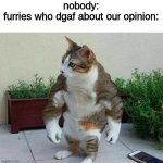 Buff cat | nobody:
furries who dgaf about our opinion: | image tagged in buff cat,funny memes,funny | made w/ Imgflip meme maker
