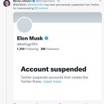 Elon Musk Free Speech cost 8 dollars to get banned template