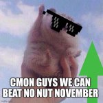 WE CAN BEAT NNN | CMON GUYS WE CAN BEAT NO NUT NOVEMBER | image tagged in encouraging hedgehog,staychadboys | made w/ Imgflip meme maker