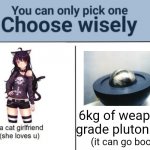 the choice is obvious | 6kg of weapons grade plutonium; (it can go boom) | image tagged in choose wisely | made w/ Imgflip meme maker