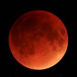 Election Blood Moon