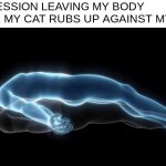 truly the thing that can cure all of depression | DEPRESSION LEAVING MY BODY AFTER MY CAT RUBS UP AGAINST MY LEG: | image tagged in soul leaving body,cats,relatable,funni | made w/ Imgflip meme maker