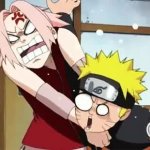 hasu angry GIF Template