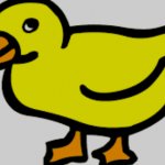 duck yes
