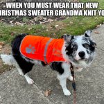 Sad dog | WHEN YOU MUST WEAR THAT NEW CHRISTMAS SWEATER GRANDMA KNIT YOU | image tagged in sad dog | made w/ Imgflip meme maker
