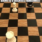 Checkmate | THE FREEZING POINT OF BRINE IS 0 DEGREES FAHRENHEIT; CHECKMATE | image tagged in checkmate | made w/ Imgflip meme maker