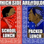 Personally, I'm on blue side | WHICH SIDE ARE YOU ON? PACKED LUNCH; SCHOOL LUNCH | image tagged in which side are you on | made w/ Imgflip meme maker