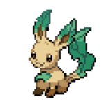 baby leafeon