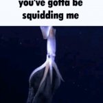 you've gotta be squidding me