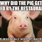 Daily Bad Dad Joke 11/08/2022 | WHY DID THE PIG GET HIRED BY THE RESTAURANT? HE WAS REALLY GOOD AT BACON. | image tagged in pig | made w/ Imgflip meme maker
