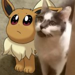 Eevee and kitty template