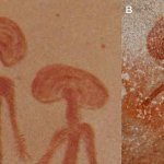 Mushroom People Cabe Drawings