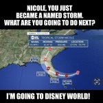 Storm hurricane nicole | NICOLE, YOU JUST BECAME A NAMED STORM.
WHAT ARE YOU GOING TO DO NEXT? I’M GOING TO DISNEY WORLD! | image tagged in storm nicole | made w/ Imgflip meme maker