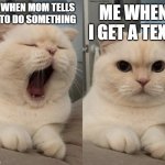 my energy changes all the time | ME WHEN I GET A TEXT; ME WHEN MOM TELLS ME TO DO SOMETHING | image tagged in yawning cat what do you think | made w/ Imgflip meme maker
