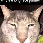 Why the long face template