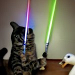 Cat and duck have lightsaber fight template