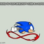 Run | RUNNING TO YOUR MINECRAFT HOME IN A NUTSHELL | image tagged in gifs,minecraft,sonic,sonic the hedgehog,running,in a nutshell | made w/ Imgflip video-to-gif maker
