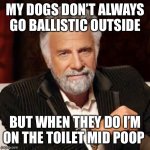 Dos Equis Guy Awesome | MY DOGS DON’T ALWAYS GO BALLISTIC OUTSIDE; BUT WHEN THEY DO I’M ON THE TOILET MID POOP | image tagged in dos equis guy awesome | made w/ Imgflip meme maker