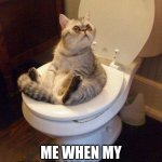 cat sitting on toilet | ME; ME WHEN MY DAD/MOM WALKS IN | image tagged in cat sitting on toilet | made w/ Imgflip meme maker