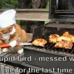 kathy to twitter meme