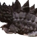 Magular (Crawling)