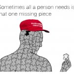 MAGA that one missing puzzle piece
