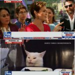 Angry Kari Lake Yells At Reporter Cat meme