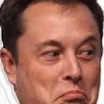 Elon face
