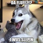 Smiling dog | DA FLUFF?!? I WUS SLEPIN | image tagged in smiling dog | made w/ Imgflip meme maker
