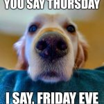 Thursday Dog Meme | YOU SAY THURSDAY; I SAY, FRIDAY EVE | image tagged in close up dog,memes,dogs | made w/ Imgflip meme maker