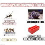 It's more painful than burning alive | STEPPING ON ONE DANG LEGO BRICK | image tagged in most painful things known to man | made w/ Imgflip meme maker