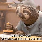 Slow sloth | ARIZONA AND NEVADA COUNTING VOTES | image tagged in slow sloth | made w/ Imgflip meme maker