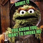 Oscar the Grouch | ADMIT IT; YOU KNOW YOU WANT TO SMOKE ME | image tagged in oscar the grouch,smoke weed everyday,cannabis,green party,if you know what i mean | made w/ Imgflip meme maker