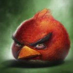 Angry bird