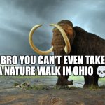 Why am I in Ohio | BRO YOU CAN'T EVEN TAKE A NATURE WALK IN OHIO 💀 | image tagged in wooly mammoth | made w/ Imgflip meme maker
