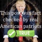 This post was fact-checked by real American patriots. meme