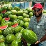 Guy with a lot of watermelons