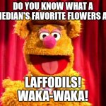 Bad Pun Day | DO YOU KNOW WHAT A COMEDIAN'S FAVORITE FLOWERS ARE? LAFFODILS!

WAKA-WAKA! | image tagged in fozzie bear joke | made w/ Imgflip meme maker