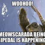 WooHoo turtle  | WOOHOO! MEOWSCARADA BEING BIPEDAL IS HAPPENING! | image tagged in woohoo turtle | made w/ Imgflip meme maker