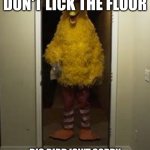 Big Bird Door | ROSES ARE RED DON'T LICK THE FLOOR; BIG BIRD ISN'T SORRY AND HE'S COMING BACK FOR MORE | image tagged in big bird door | made w/ Imgflip meme maker