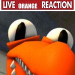 live orange reaction