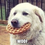 woofle | WOOF | image tagged in woofle | made w/ Imgflip meme maker