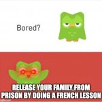 Duo Is Bored | RELEASE YOUR FAMILY FROM PRISON BY DOING A FRENCH LESSON | image tagged in duolingo bored,duolingo | made w/ Imgflip meme maker