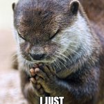 Thank you Lord Otter Meme Generator - Imgflip