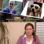 Both the same | image tagged in they're both the same picture,joe biden,labrador,sunglasses,fun | made w/ Imgflip meme maker